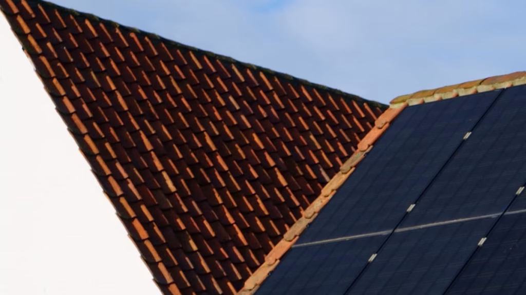 Immobilier durable 2026 : investir dans l'éco-construction